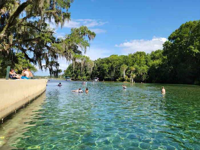 Salt Springs Resort Picture 5