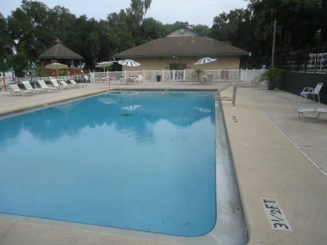 elite resorts at salt springs Picture 1