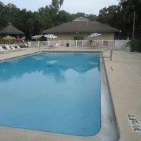 elite resorts at salt springs ico