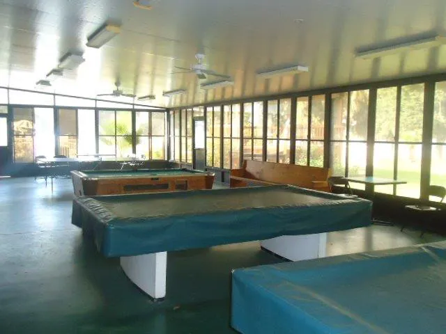 elite resorts at salt springs Picture 4