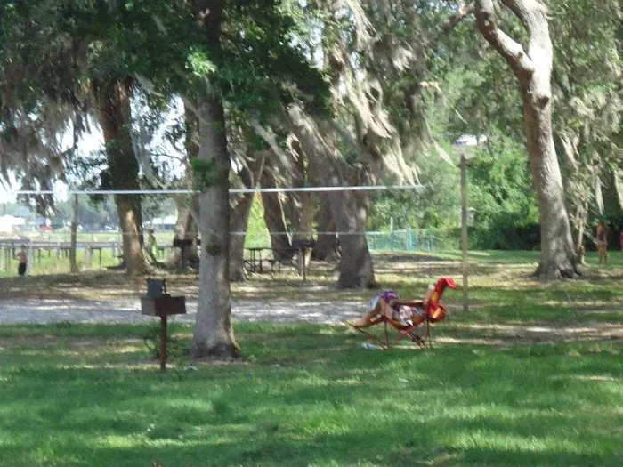 elite resorts at salt springs Picture 6