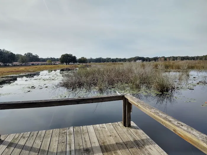 Salt Springs Village Picture 2