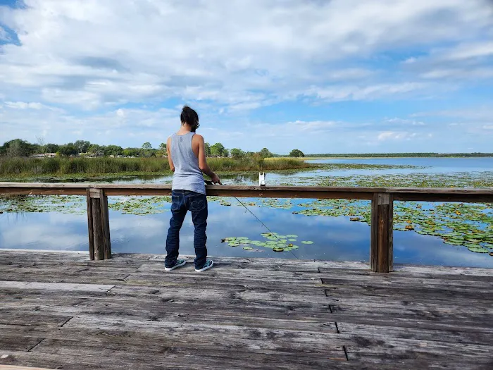 Salt Springs Village Picture 3