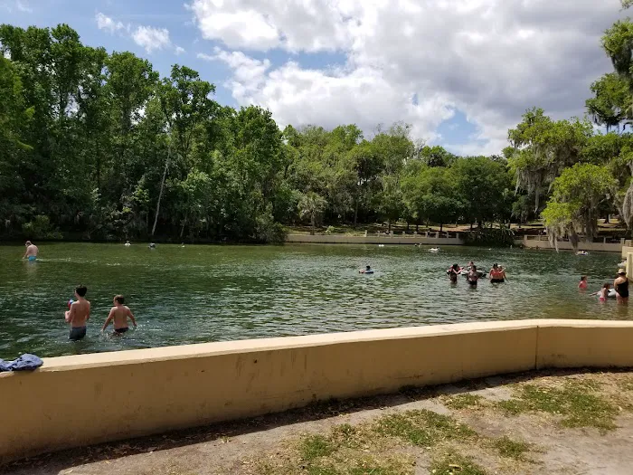 Salt Springs Village Picture 8