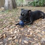 Sunflower Estates Mobile Home Community