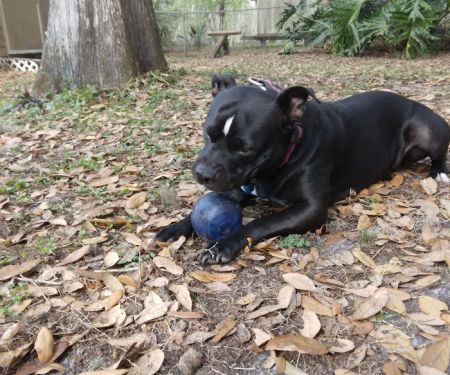 Sunflower Estates Mobile Home Community