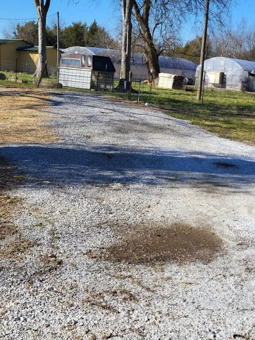 Delliamaervparkllc Picture 1