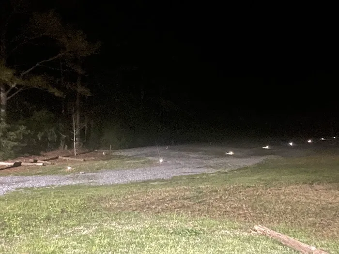 Delliamaervparkllc Picture 6