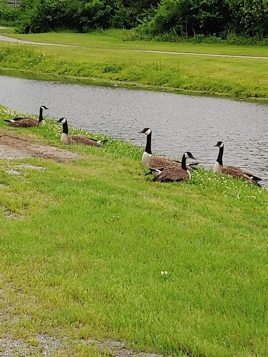 Cape Camping & RV Park Picture 5