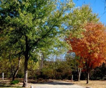 The Landing Point RV Park