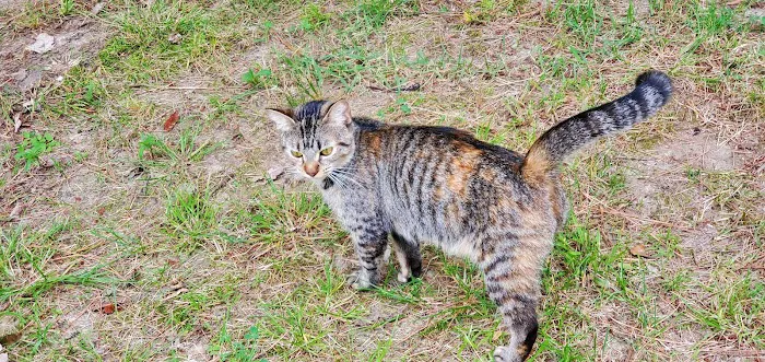 Heritage Hills Mobile Home Pk Picture 5