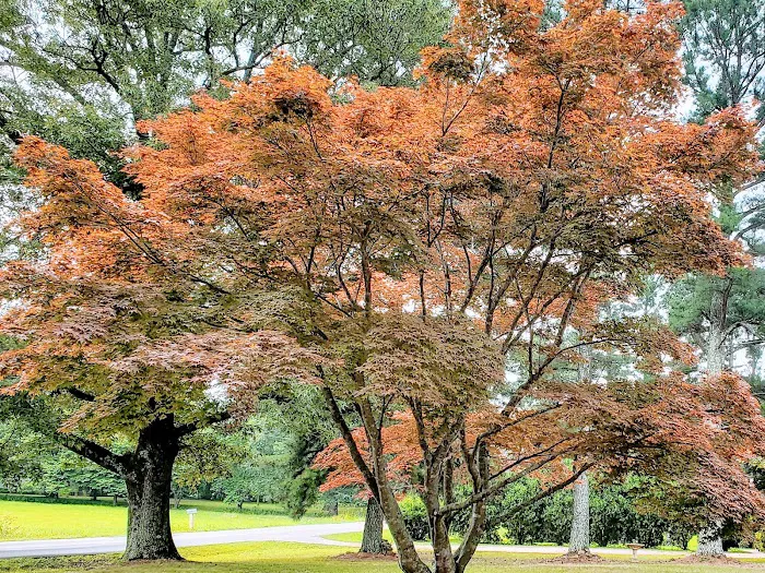 Heritage Hills Mobile Home Pk Picture 8