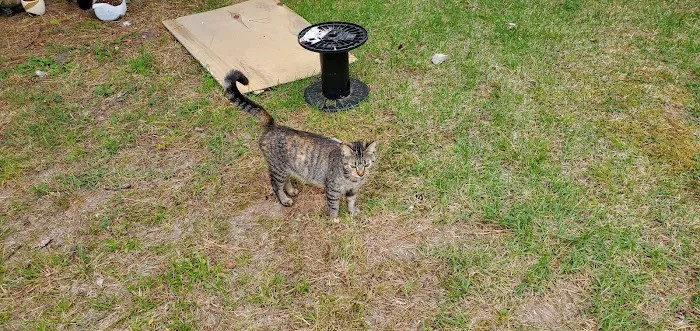 Heritage Hills Mobile Home Pk Picture 4