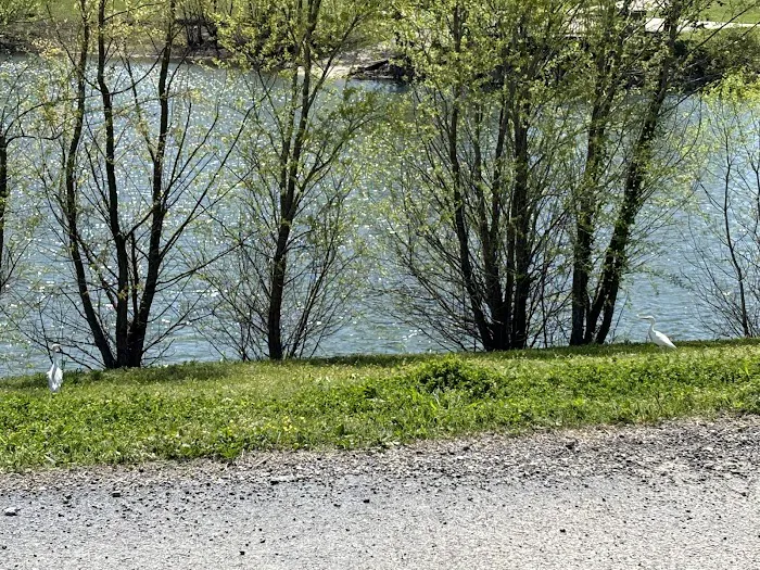 Lakeview RV Resort Picture 8