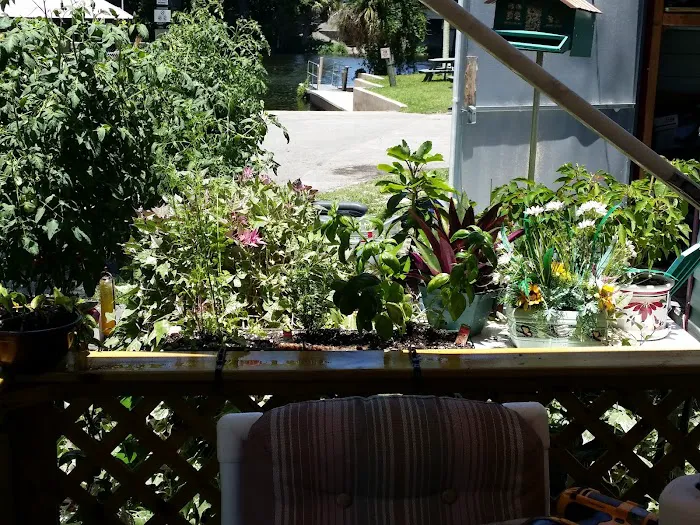 Big Oaks River Resort Picture 7