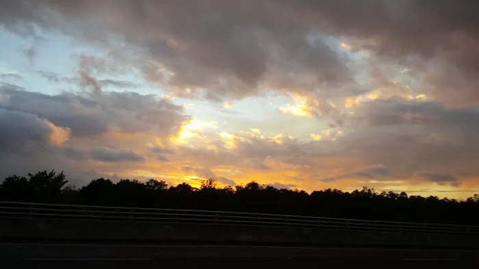 Nature Coast Landings RV Resort Picture 4