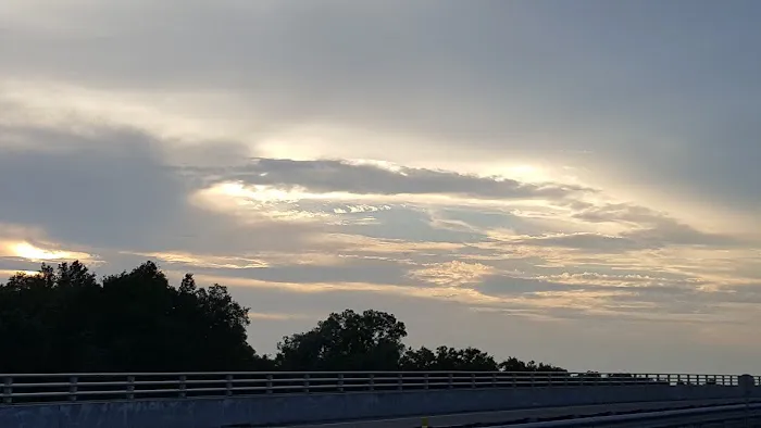 Nature Coast Landings RV Resort Picture 8