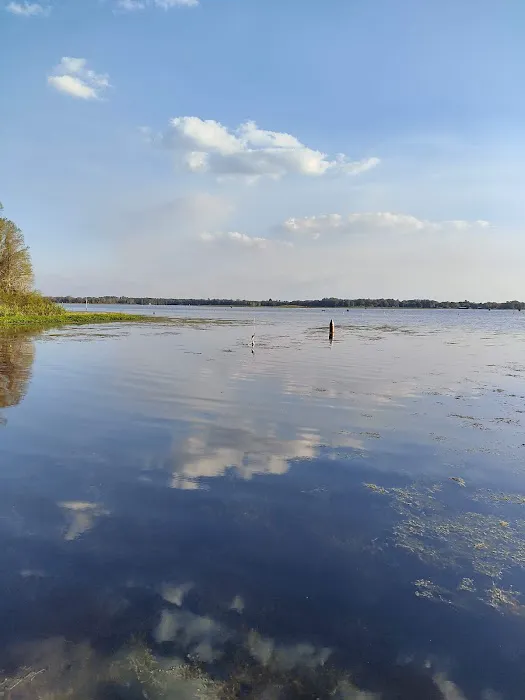 Emerald Cove RV Resort and The Buoy Bar Picture 8