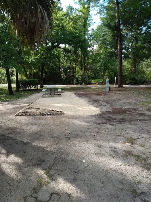 Village Pines RV Campground & Mobile Home Community Picture 3