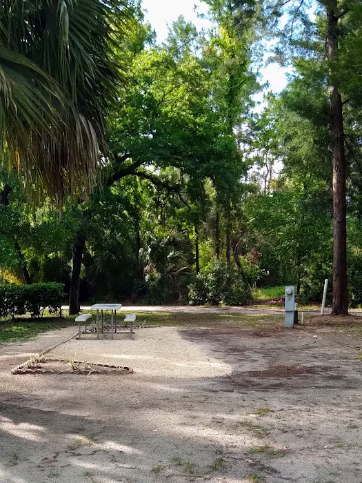 Village Pines RV Campground & Mobile Home Community Picture 8