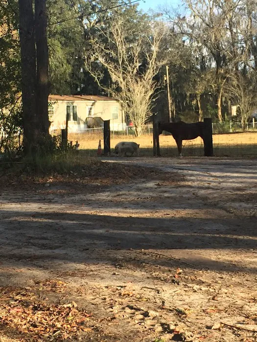 Thompson Mill RV Park Picture 6