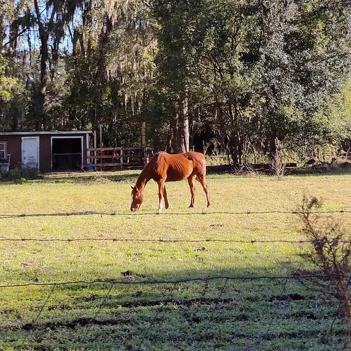 Thompson Mill RV Park Picture 9