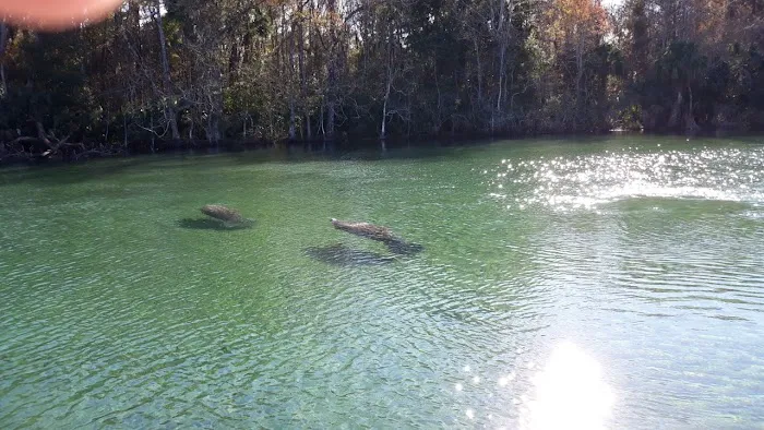 Rivers Edge RV Park Picture 1
