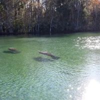 Rivers Edge RV Park ico