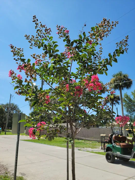 Port Cove RV Resort and Marina Picture 8