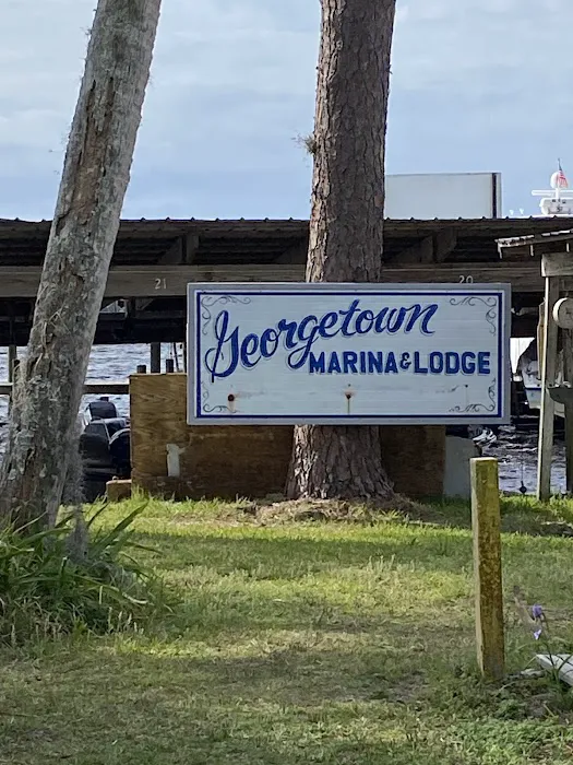 Georgetown Marina, Lodge & Rv Park Picture 6
