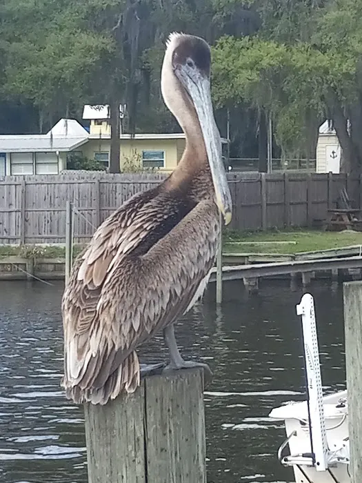 Georgetown Marina, Lodge & Rv Park Picture 10