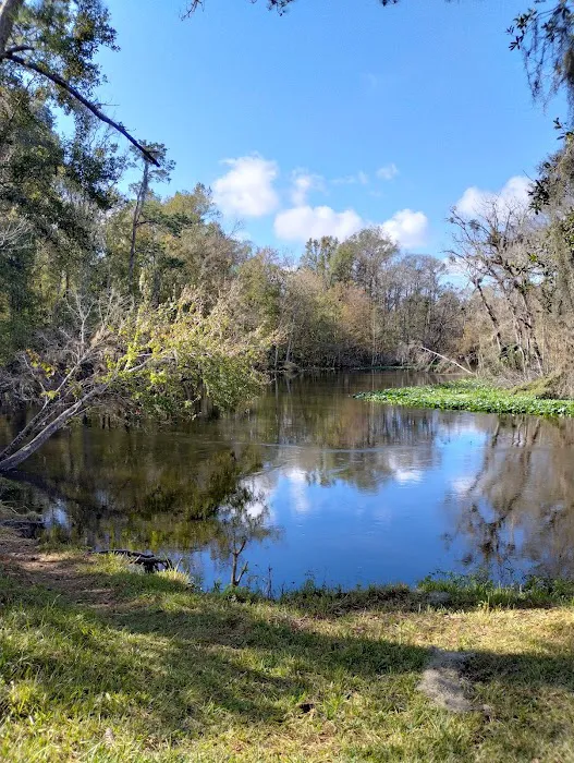 Wilderness RV Resort Picture 9