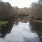 Sharpes Ferry Manufactured Home Comm