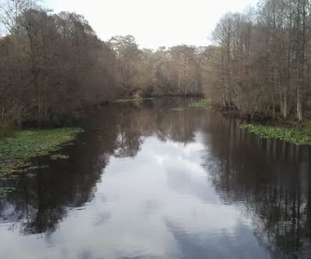 Sharpes Ferry Manufactured Home Comm