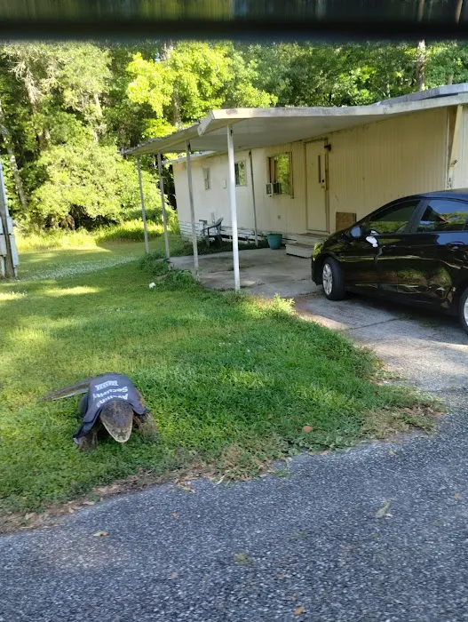 Sharpes Ferry Manufactured Home Comm Picture 5