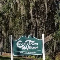 Country Town Village ico