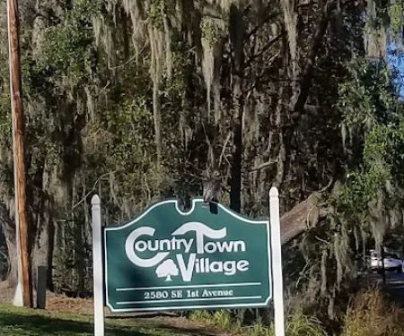 Country Town Village