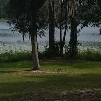 TallTimbers RV Park ico