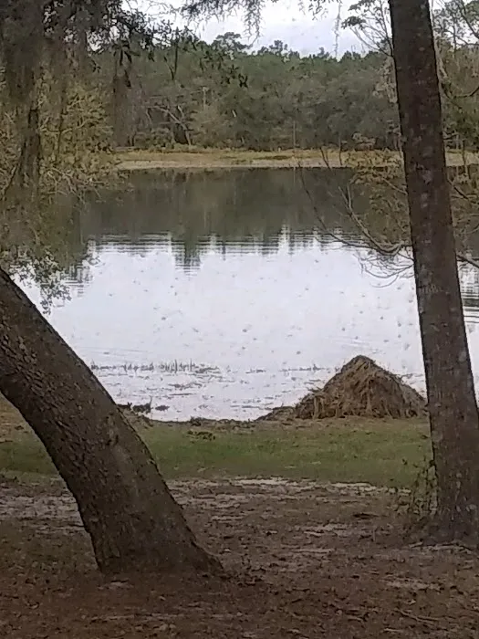 TallTimbers RV Park Picture 9