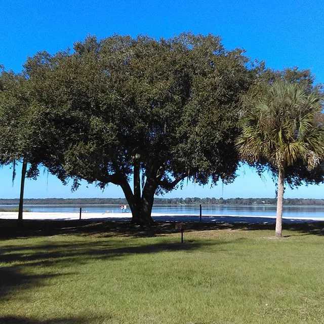 Lake Bryant MH & RV Park Picture 3