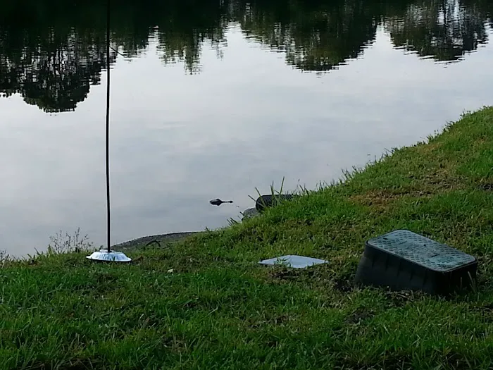 Coquina Crossing Picture 7
