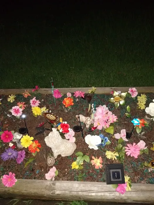 Mulberry Acres Mobile Home Park Picture 1