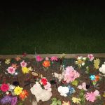 Mulberry Acres Mobile Home Park