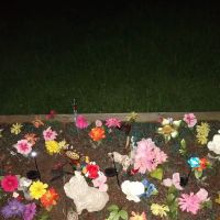 Mulberry Acres Mobile Home Park ico