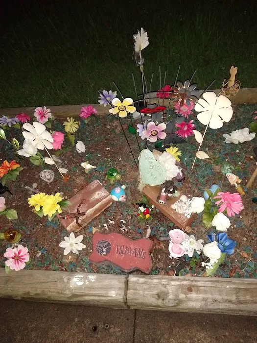 Mulberry Acres Mobile Home Park Picture 6