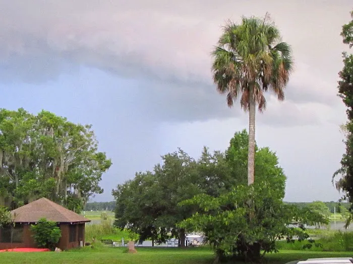 Withlacoochee Backwaters RV & MH Park Picture 5