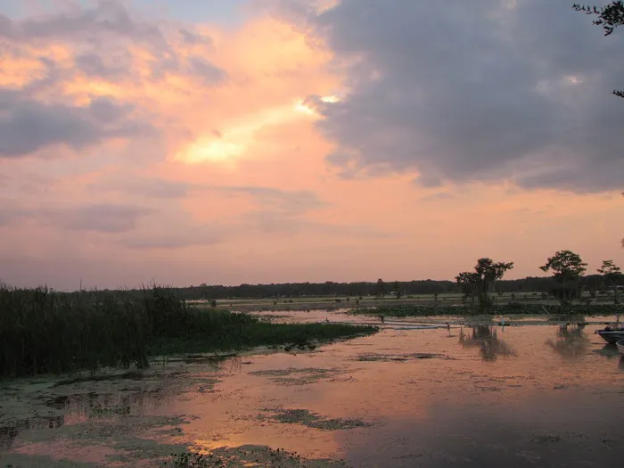Withlacoochee Backwaters RV & MH Park Picture 10