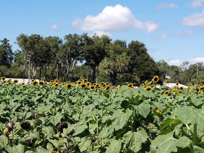 Oak Bend Village Picture 7