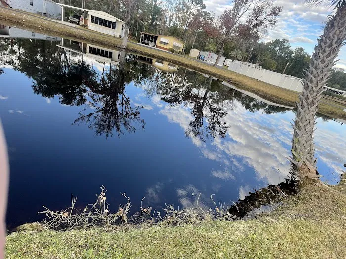 Imperial Gardens Mobile Home Picture 4