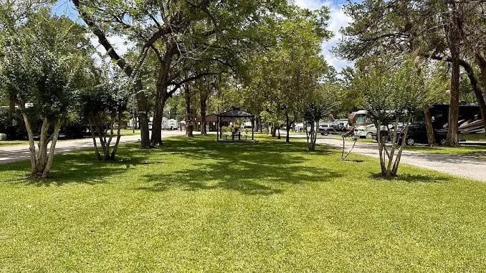 Big Tree RV Park Picture 2